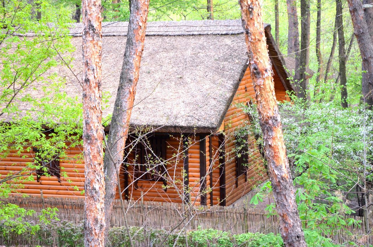 Chumatskiy Shlyah Romankiv Ngoại thất bức ảnh